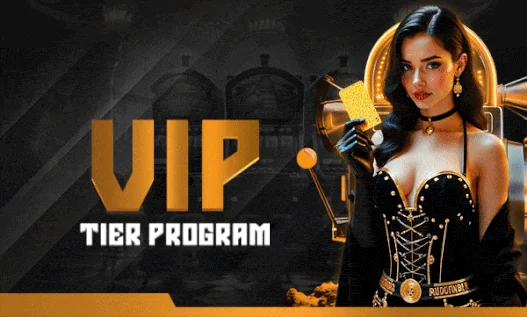 VIP Tier Program and Loyalty Rewards